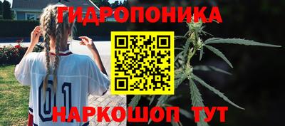 метадон Дубна
