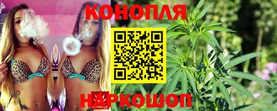 прущие крисы Донецк